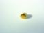 Picture of Rivet 82142
