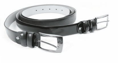 Picture of Belt 1741/35